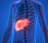 כבד שומני: שאלות ותשובות-תמונה